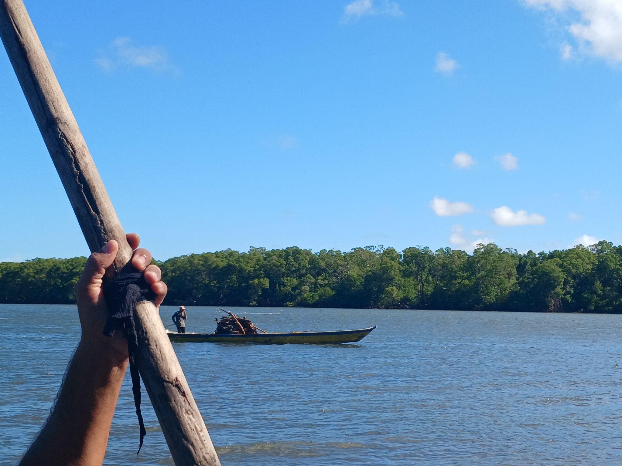 Apiário de Própolis Vermelha — cor vibrante que inspirou o sistema de magia Colorista e o Mel Vermelho do jogo